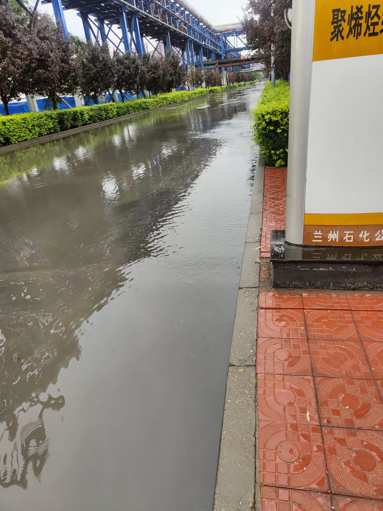 雨情就是命令 行動(dòng)就是使命